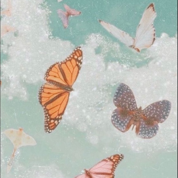 Meet your Posher, Jaela - Picture 2 of 2